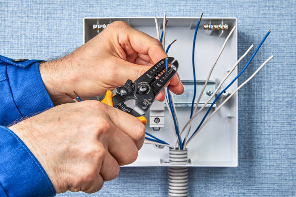 Best Electrical Panel Upgrades  in Lyman, SC